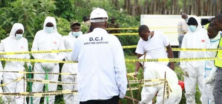 ގިނަ އަދަދަކަށް ކުޑަކުދިންގެ ހަށިތަކެއް ފުންވަޅުގަނޑަކުން ފެނިއްޖެ