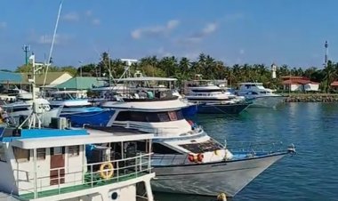 ތެލަށްޖެހި މަހަށް ނުފުރި ދޯނިފަހަރުން ފަޅުތައް ތޮއްޖެހެނީ