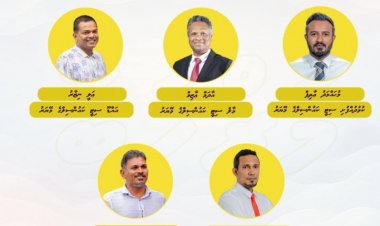 ސިޓީތަކުގެ މޭޔަރކަން އެމްޑީޕީން ކަށަވަރުކޮށްފި