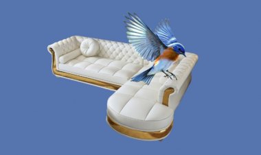 މުސްކުޅި ވެރިންނާއި ޅަ މަންޖެއިން: ގައުމީ ހިދުމަތުގެ އާ ފަލްސަފާ!