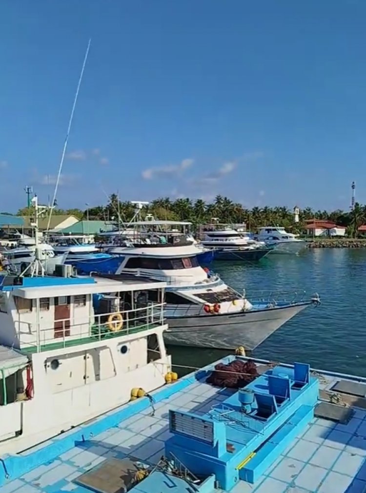 ތެލަށްޖެހި މަހަށް ނުފުރި ދޯނިފަހަރުން ފަޅުތައް ތޮއްޖެހެނީ