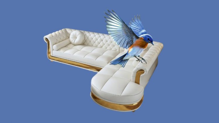 މުސްކުޅި ވެރިންނާއި ޅަ މަންޖެއިން: ގައުމީ ހިދުމަތުގެ އާ ފަލްސަފާ!