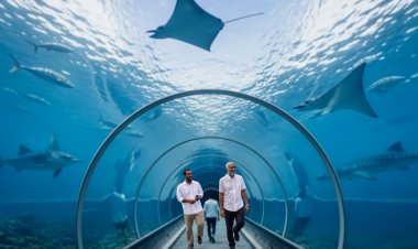 ރައީސް އިތުރުފުޅެއް ނުހައްދަވާ - ރައްޔިތުން ދޮގުހަދަނީ!