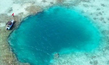ޗައިނާ ކަނޑުގައި މުރަކައިގެ ނޫ ހޮހަޅައެއް