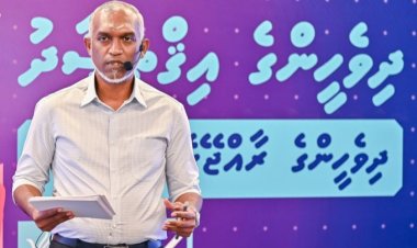 ދައުލަތުގެ މާލާއި މުދަލަކީ ޕީއެންސީގެ މިލްކެއްނޫން