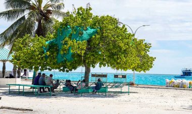 65 އަހަރުވުމަކީ ދިރިއުޅުން ނިމުމުގެ ލައިސަންސެއް ނޫން