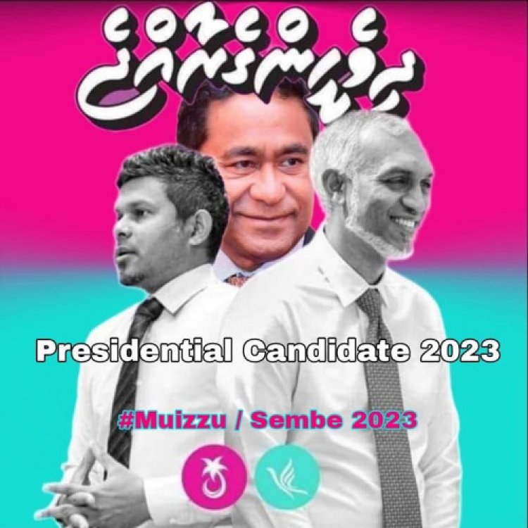 ޕީޕީއެމް-ޕީއެންސީގެ ވެރިކަން ދެބައިވުން | ރައްޔިތުންނަށް މުސީބާތަކަށް