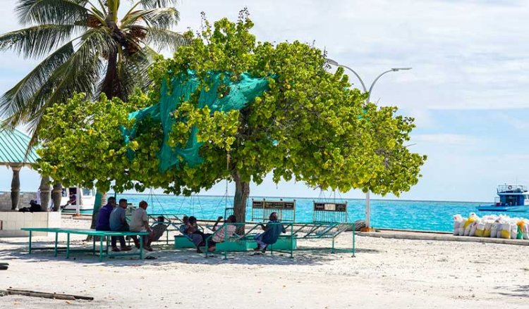 65 އަހަރުވުމަކީ ދިރިއުޅުން ނިމުމުގެ ލައިސަންސެއް ނޫން