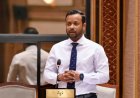 ވެރިކަމުގެ ހަޔާތުން ދައުރެއް ވާނުވާގައި