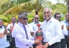 އަތްލަންނުކެރޭ ތަންތާ އަތްލުވަން ހައްނާނު ވަރެއްނެތް