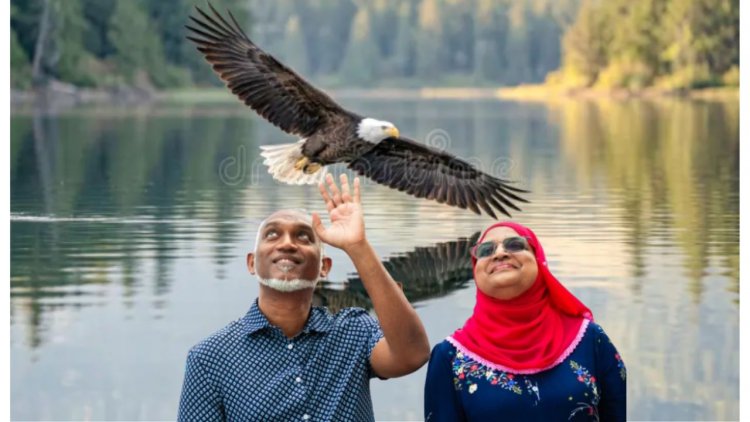 އަތުނެތް އެތި ވިއްކައިގެން ހޯދާދޭން އައި މީހުން އަތުއޮތް އެތި ވިއްކާލުން