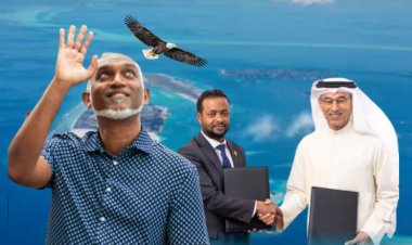 އަލައްބާރަށް ރަސްމާލޭން 500 ހެކްޓަރ ދިނީ މުއިއްޒަށް ގޮތްހުސްވެގެން