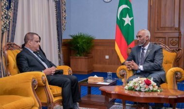 އެލްޖިއޭ އިންތިހާބުން އެނގުނީ އެލްޖިއޭއަށް އިތުބާރު ނުކުރާކަން